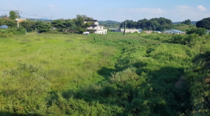 물건 사진 19