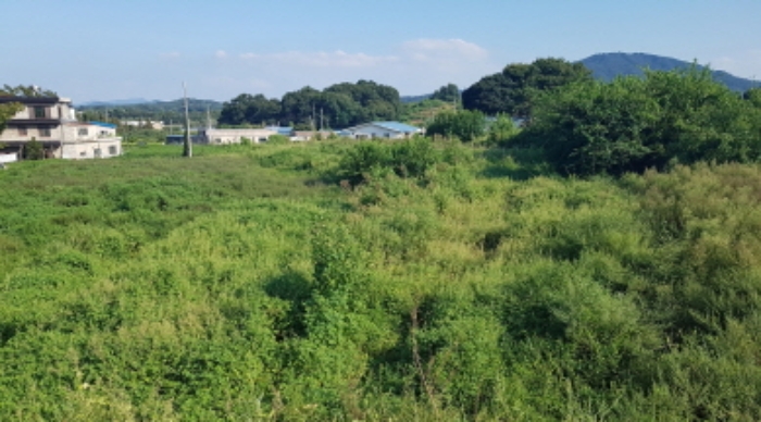 물건 사진 20