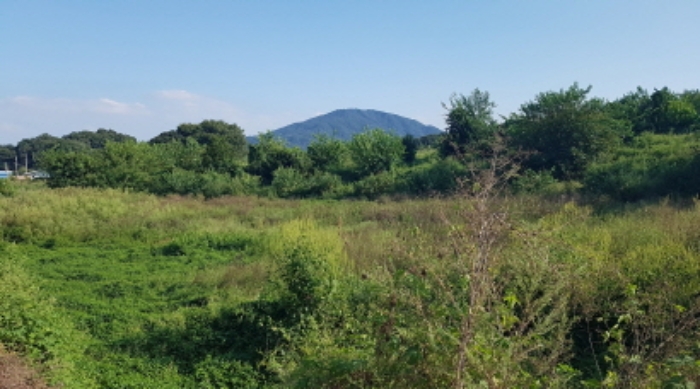 물건 사진 21