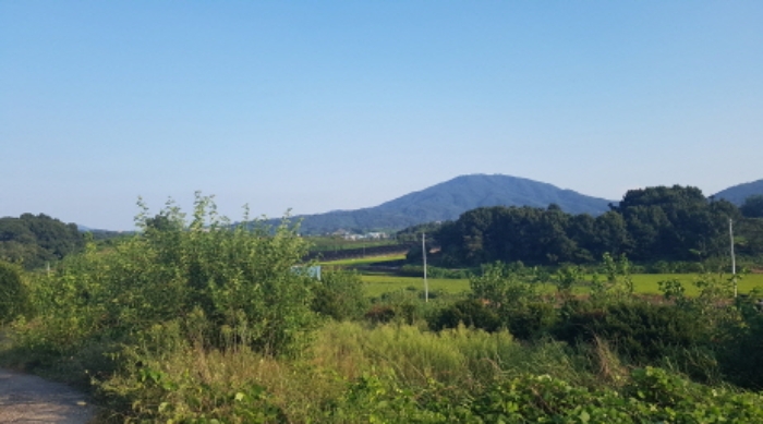 물건 사진 22