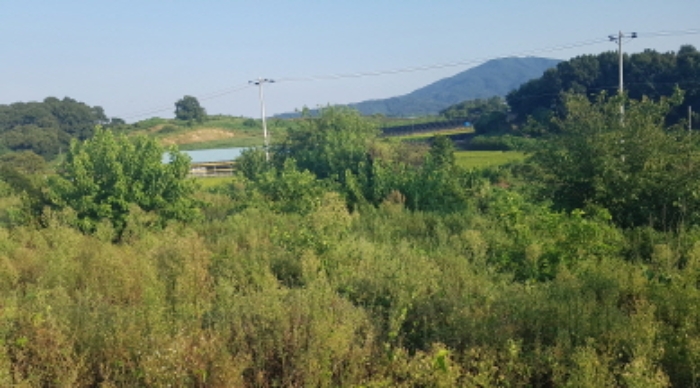 물건 사진 24