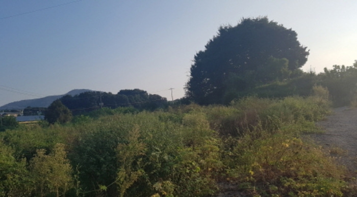 물건 사진 25