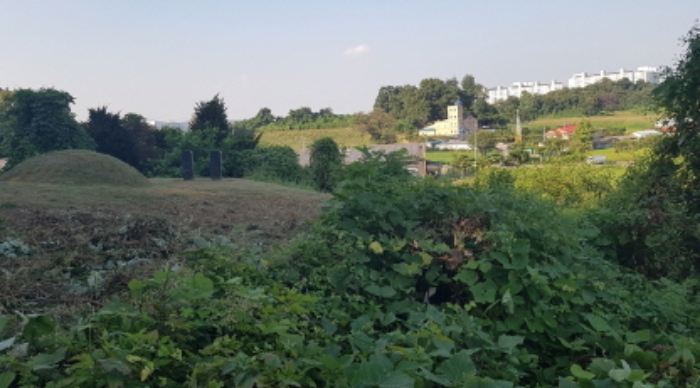 물건 사진 32