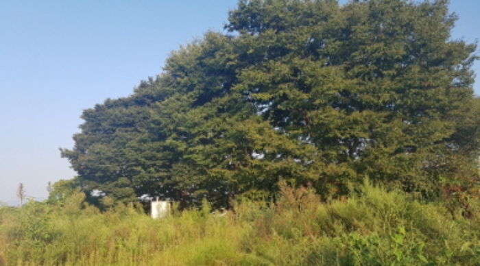 물건 사진 36