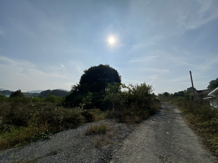물건 사진 51