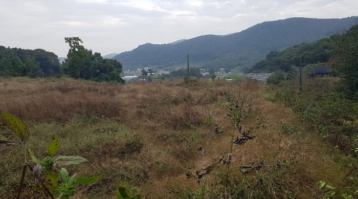물건 사진 29
