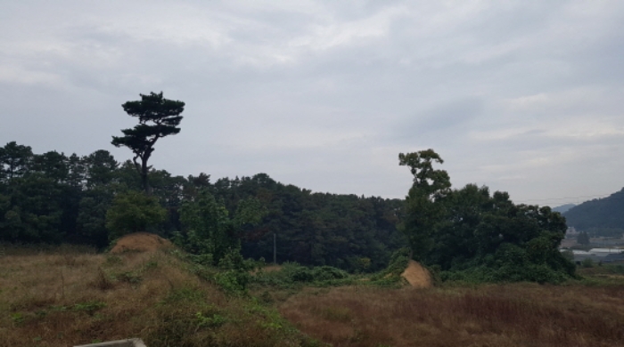 물건 사진 9