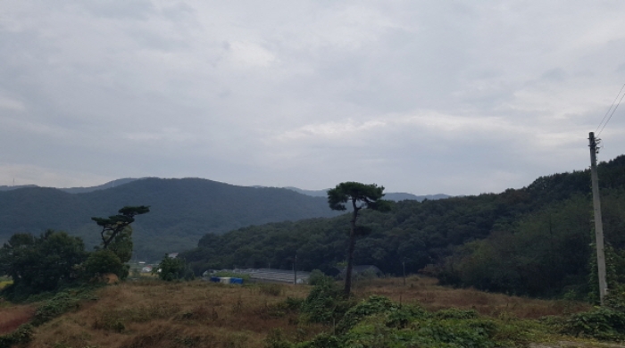 물건 사진 1