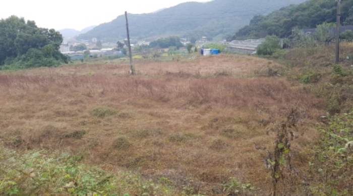 물건 사진 31