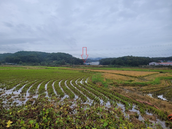 물건 사진 51