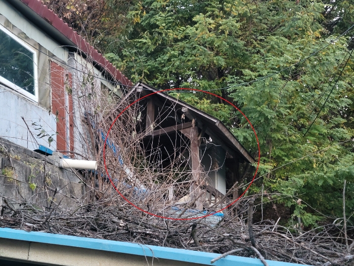 물건 사진 88