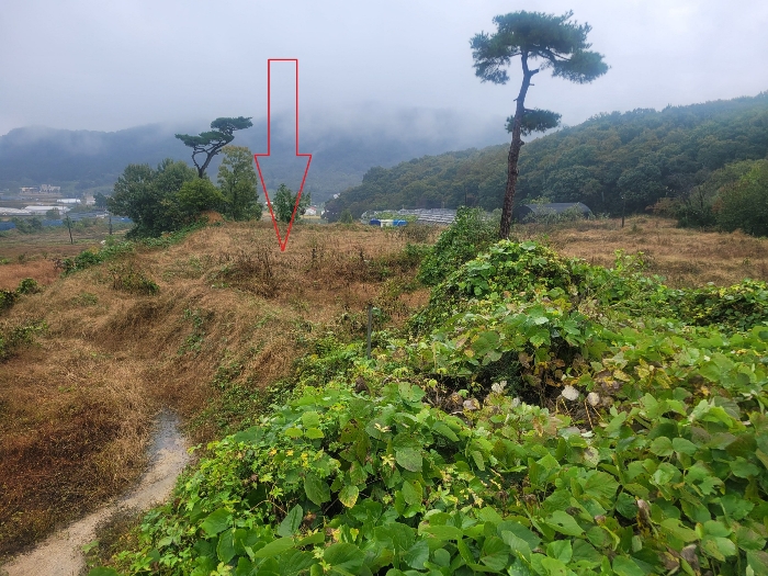 물건 사진 63