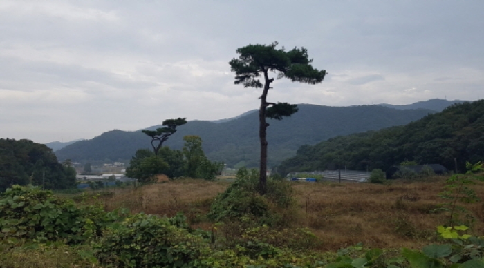 물건 사진 8