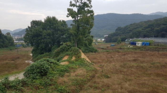 물건 사진 10