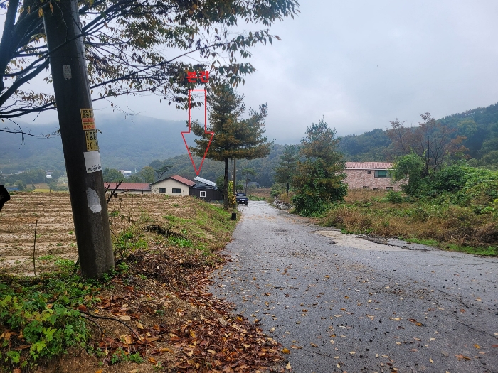 물건 사진 95
