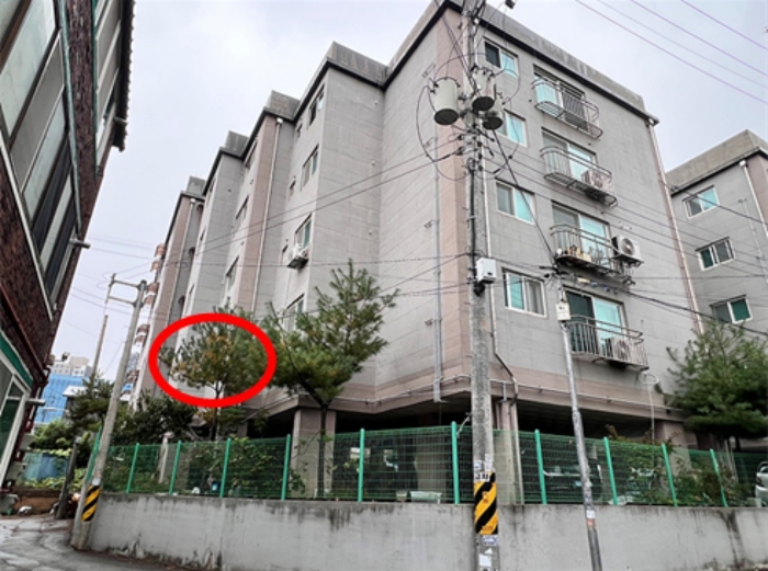 물건 사진 11