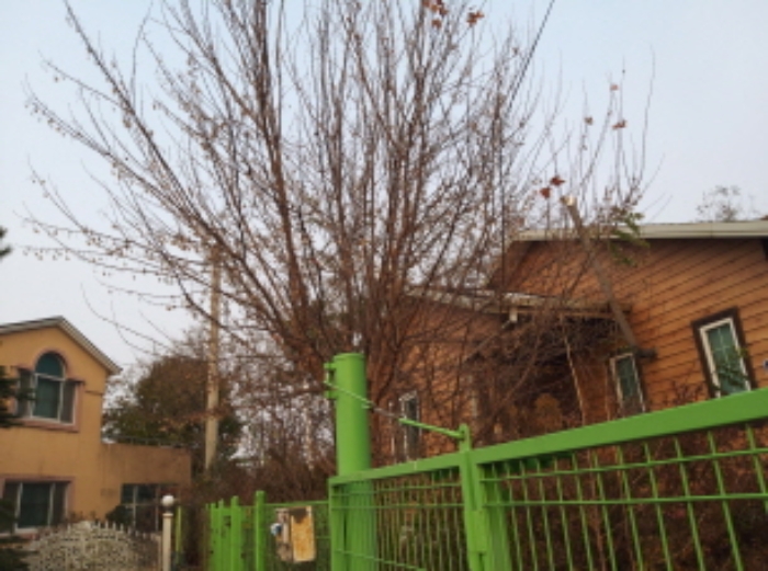 물건 사진 4