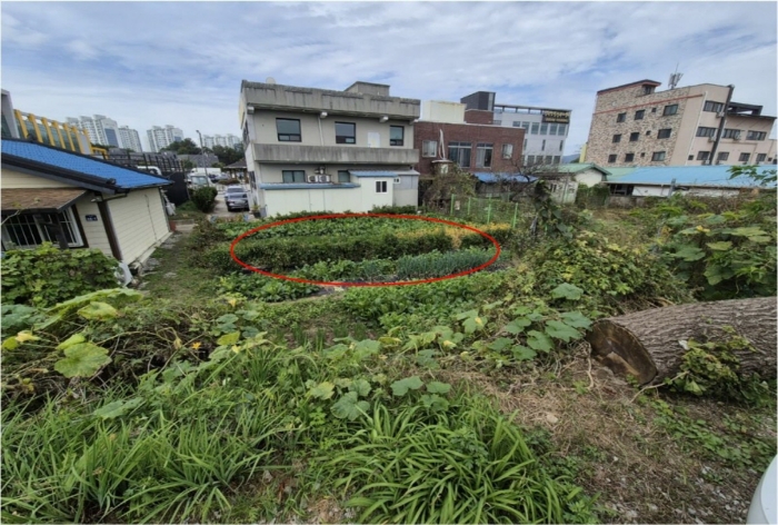 물건 사진 18