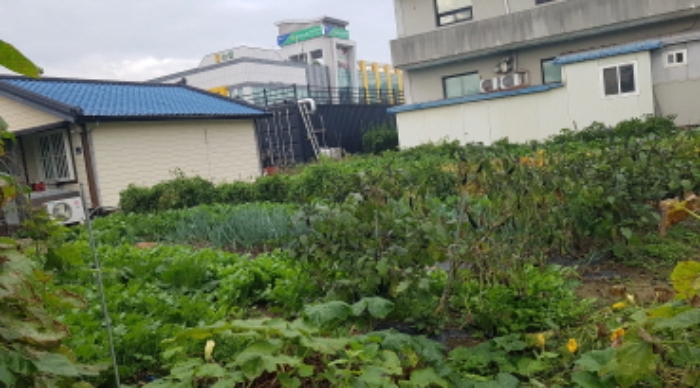 물건 사진 7