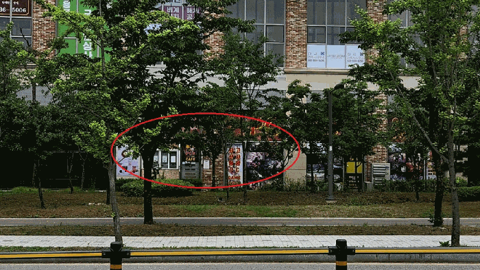 물건 사진 14