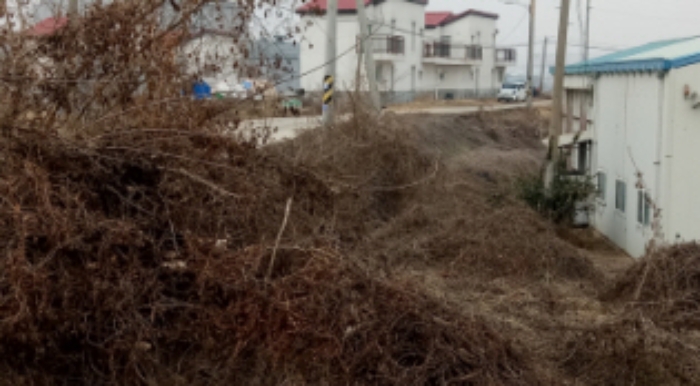 물건 사진 22