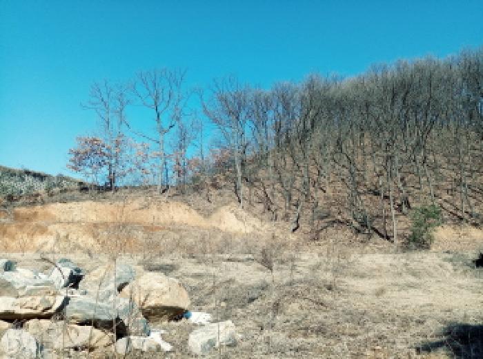 물건 사진 11