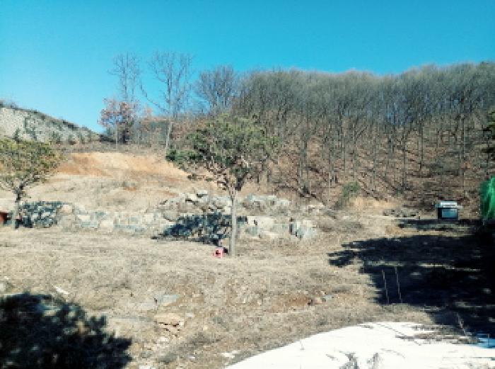 물건 사진 12