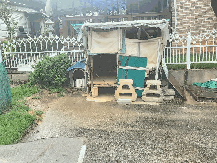 물건 사진 17