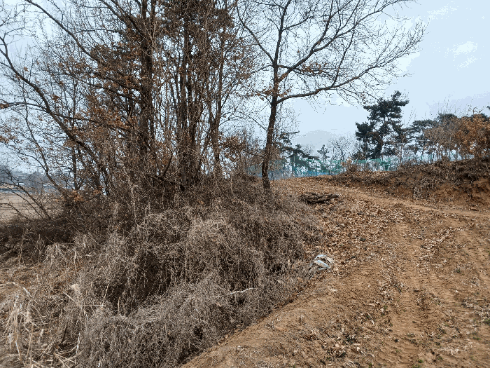물건 사진 20
