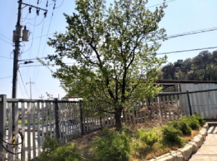 물건 사진 9