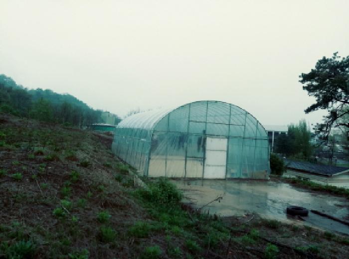 물건 사진 17