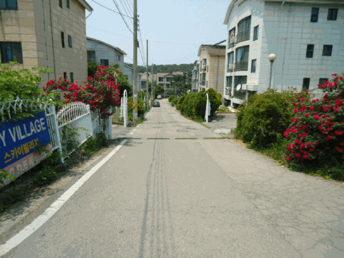 물건 사진 17