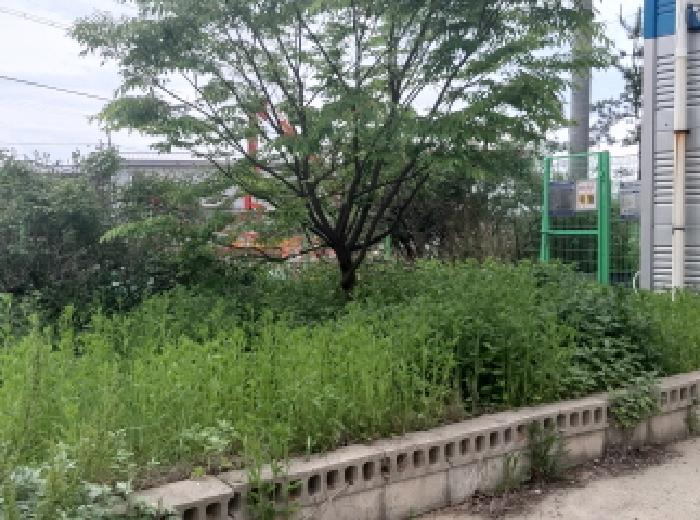물건 사진 4