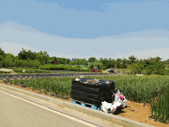 물건 사진 19