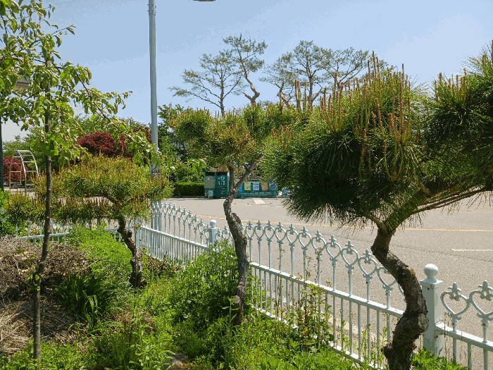 물건 사진 29