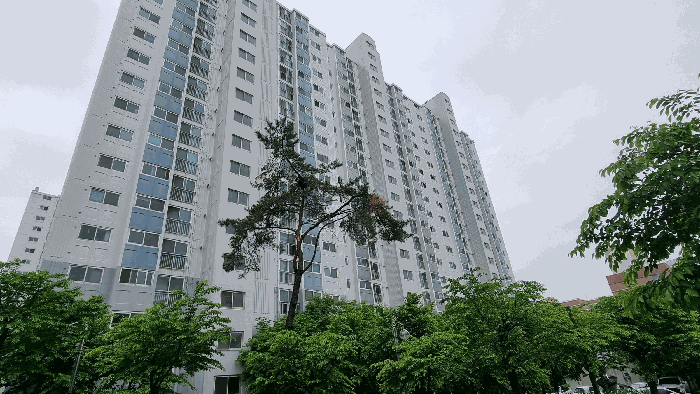 물건 사진 12