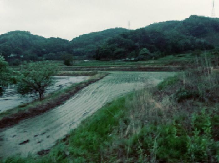 물건 사진 9