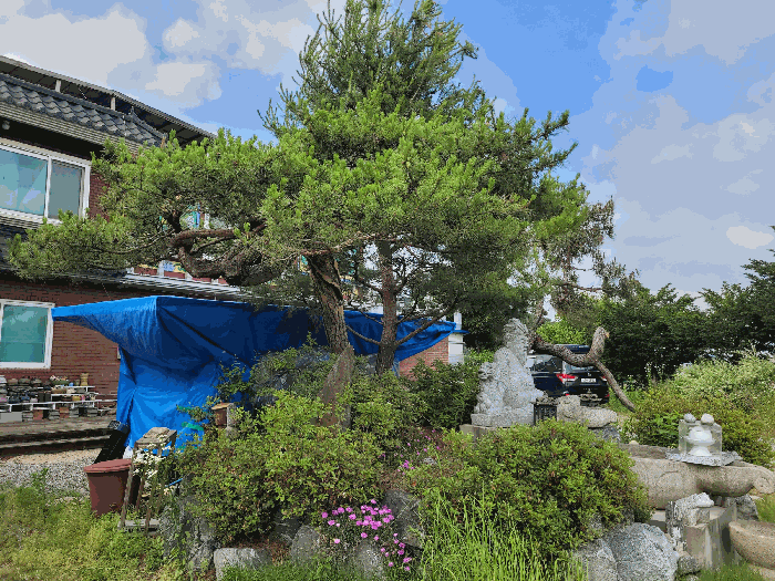 물건 사진 24