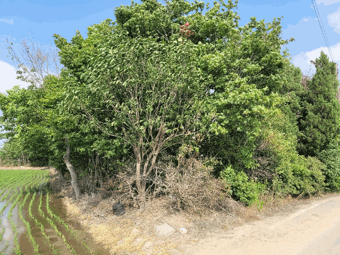 물건 사진 42