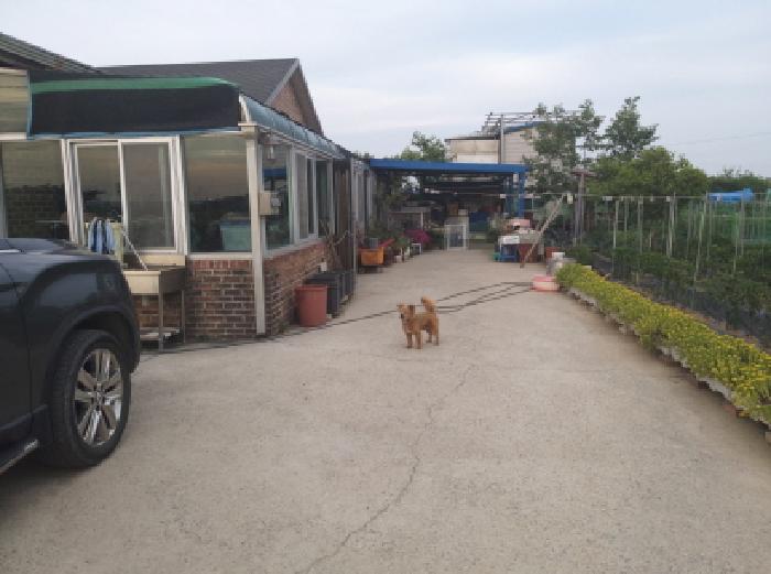 물건 사진 8