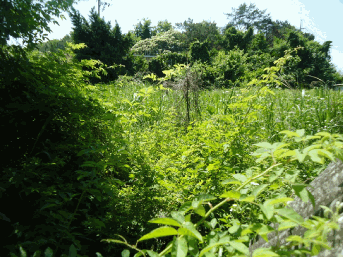 물건 사진 20