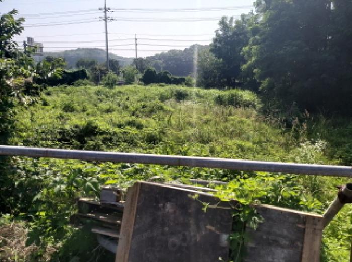 물건 사진 3