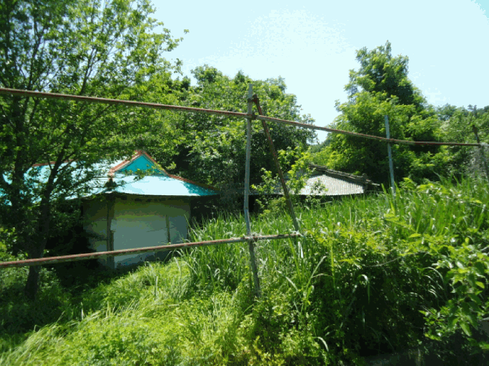 물건 사진 31