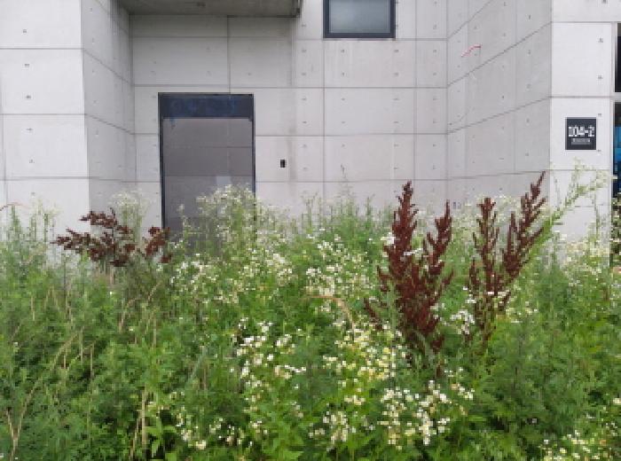 물건 사진 10