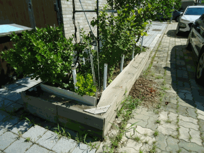 물건 사진 17