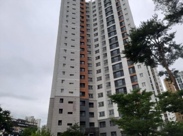 물건 사진 1