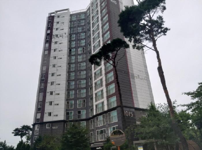 물건 사진 1