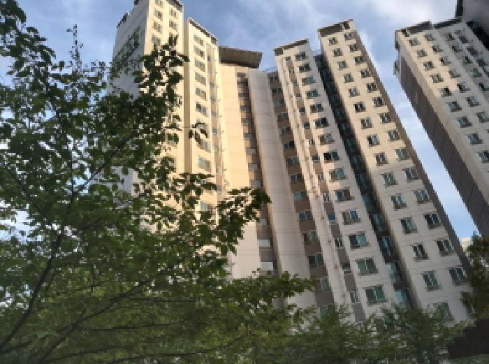 물건 사진 3