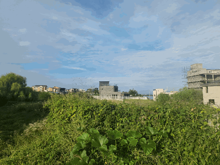 물건 사진 19