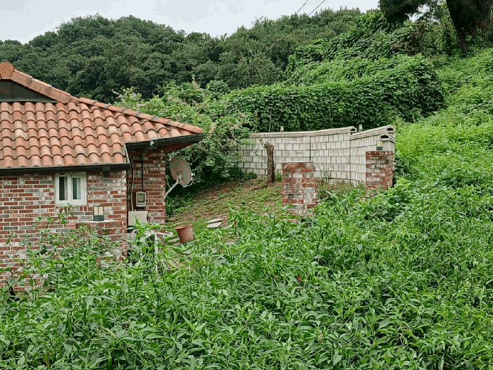 물건 사진 18